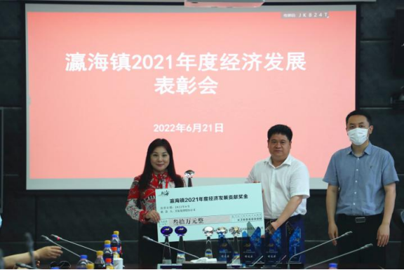 助力經(jīng)濟(jì)發(fā)展，美巢集團(tuán)股份公司獲瀛海鎮(zhèn)經(jīng)濟(jì)發(fā)展三項(xiàng)大獎(jiǎng)