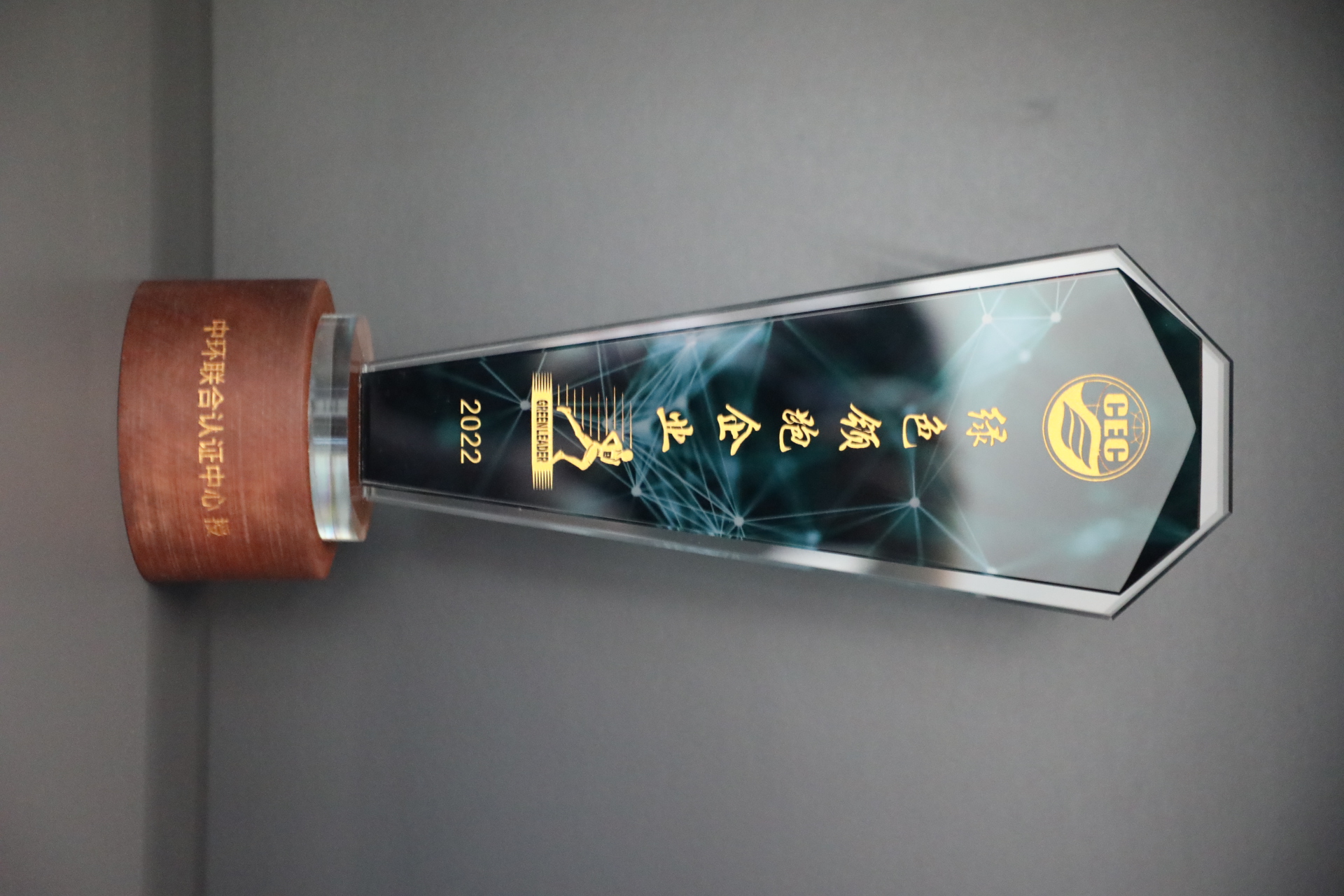 美巢深耕家裝環(huán)保輔料賽道，榮獲“綠色領(lǐng)跑企業(yè)”稱號