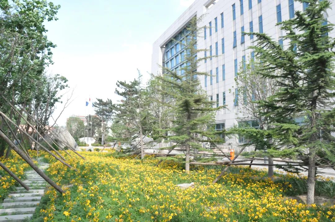 美巢先后獲“綠色信用五星級(jí)企業(yè)”“無(wú)廢之星”榮譽(yù)稱(chēng)號(hào)